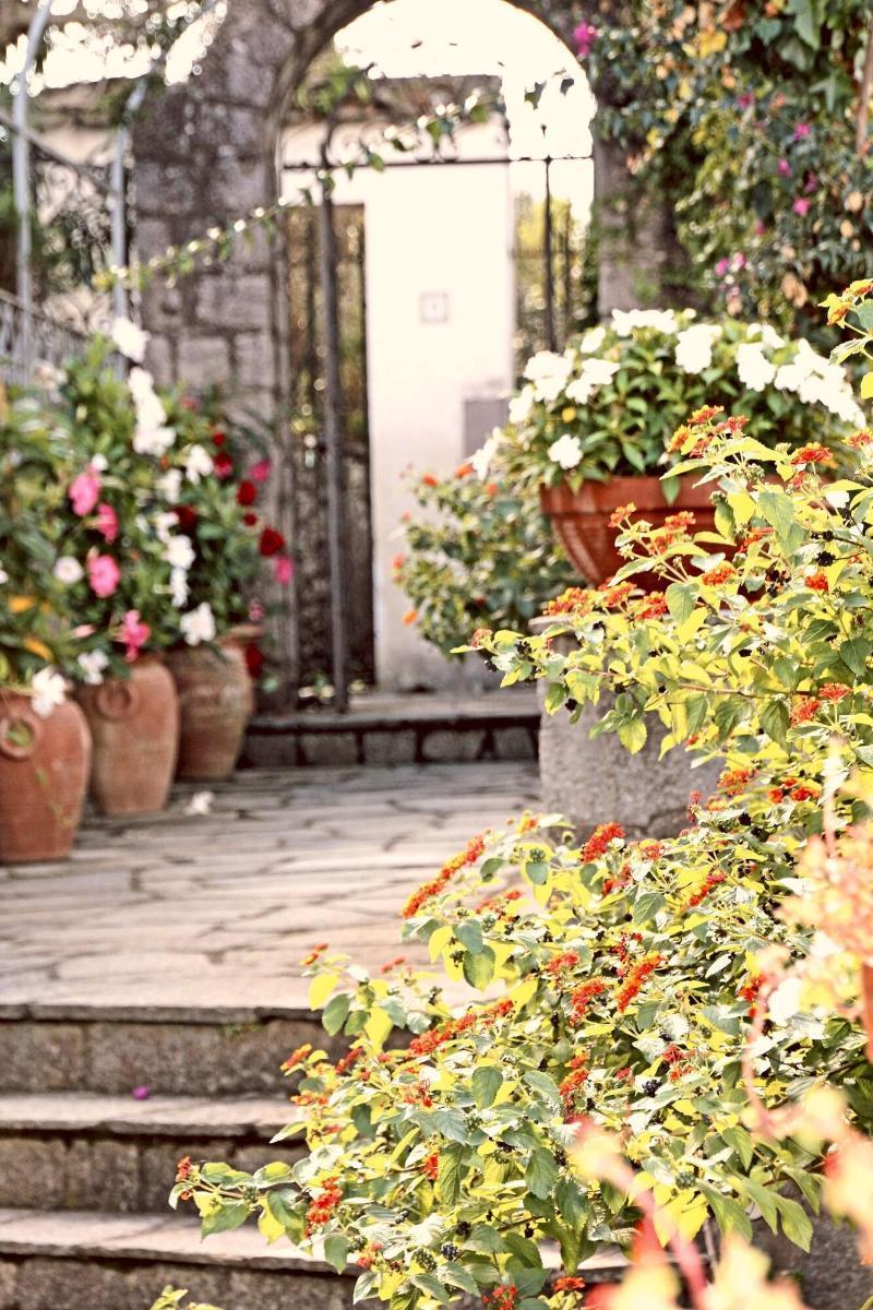 Cavalluccio Marino Anacapri (Isola di Capri) Exterior foto