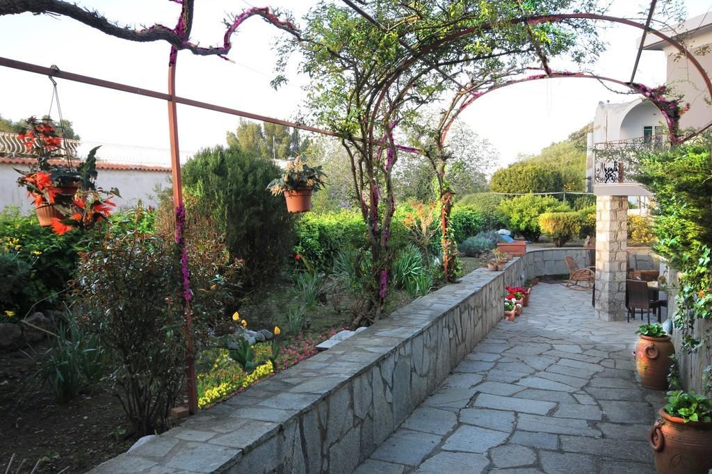 Cavalluccio Marino Anacapri (Isola di Capri) Exterior foto